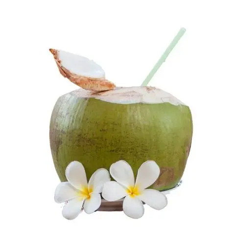 Hình ảnh Dừa tươi