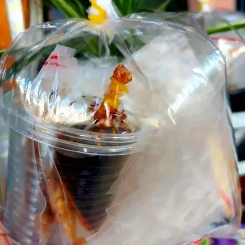 Hình ảnh Bánh tráng chấm sốt muối tắc