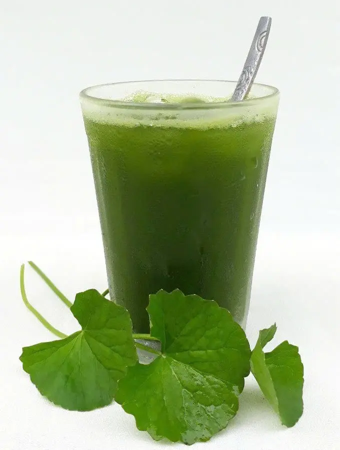 Hình ảnh Rau má + sương sáo + phổ tai + hạt é