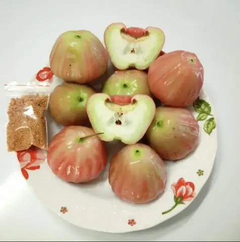 Hình ảnh Mận đỏ gọt  sẵn _500gr