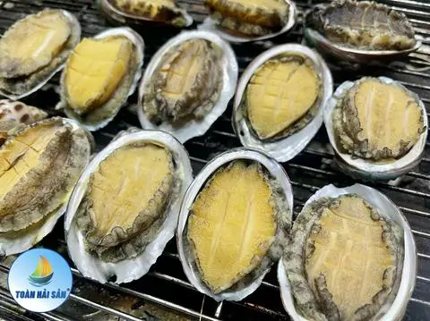 Hình ảnh Bào Ngư Hàn Quốc (500gram)