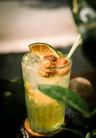 Hình ảnh Kombucha mơ chùa Hương - size M