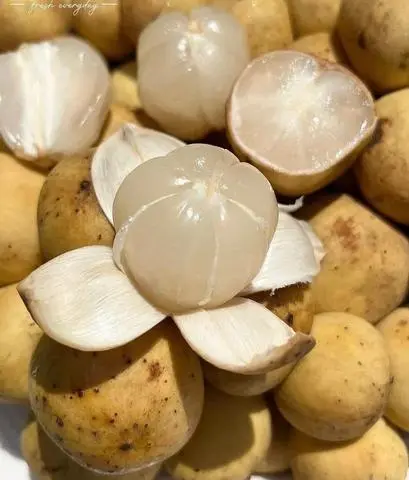 Hình ảnh Bòn bon Thái hộp 400G