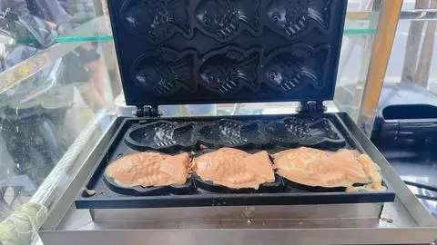 Hình ảnh Cá socola