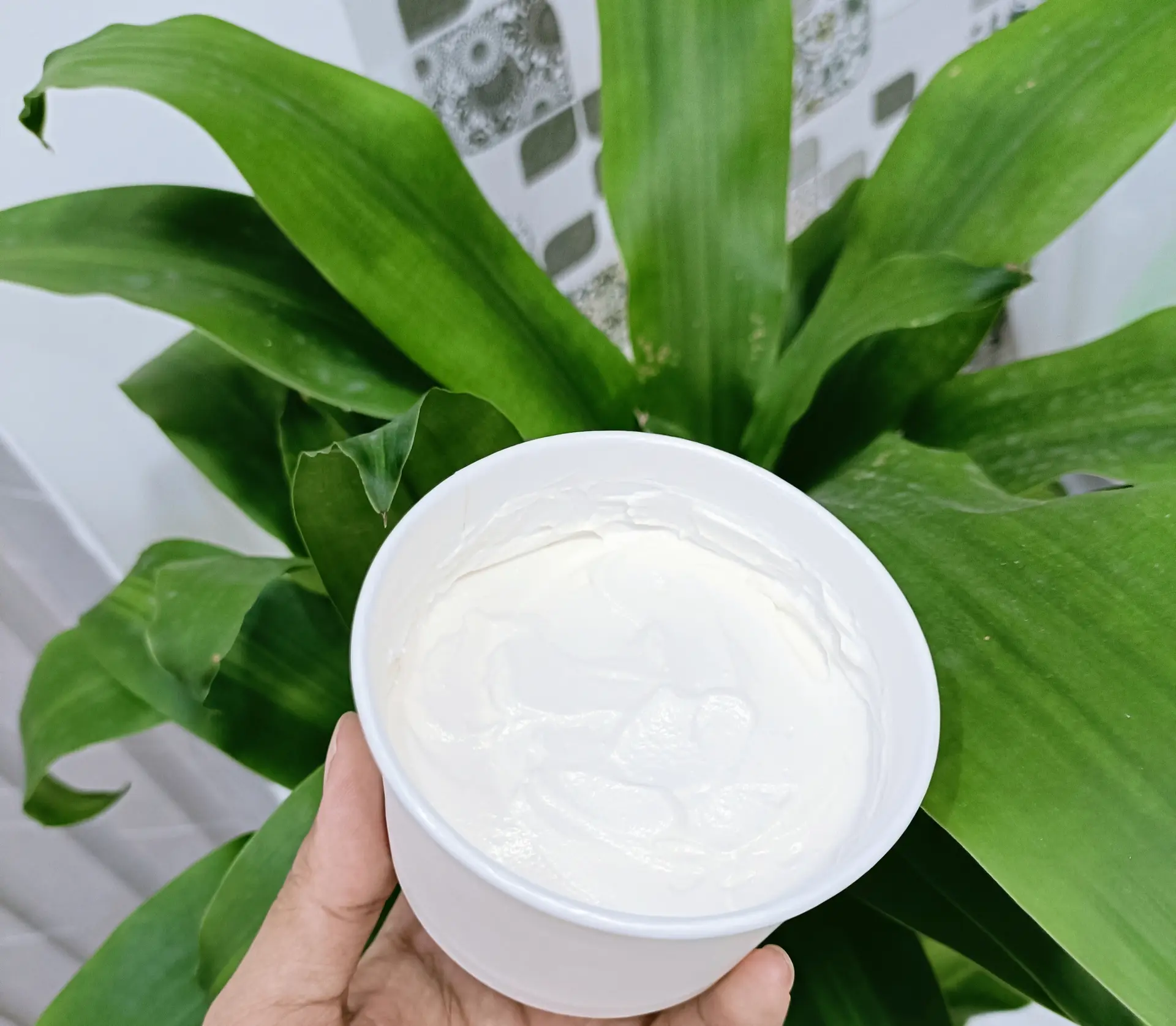 Hình ảnh Sữa chua Hy Lạp 120g - Greek Yogurt