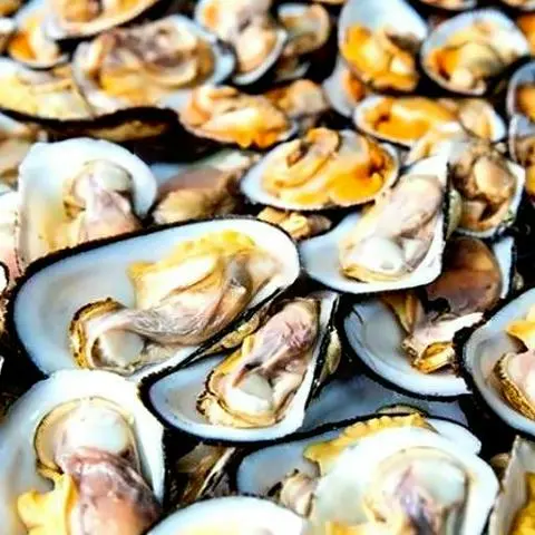 Hình ảnh Sò Dẹo Nướng Mọi