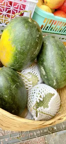 Hình ảnh Dưa hấu - Mật ong