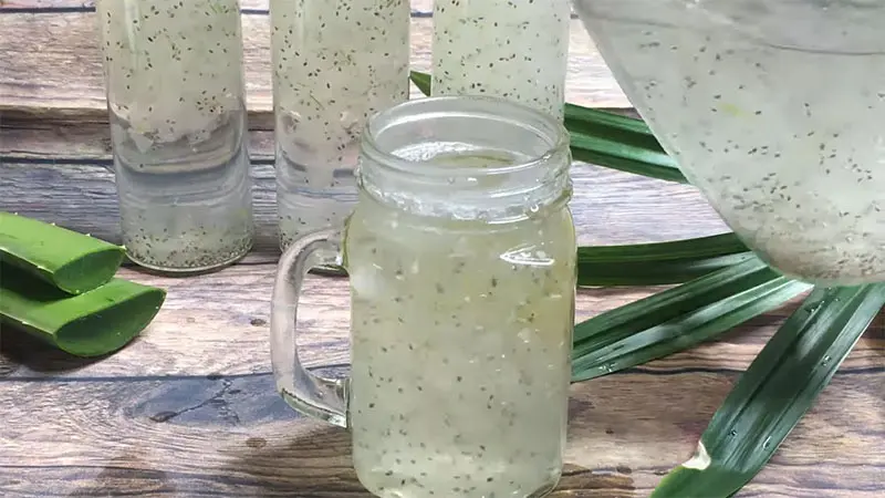 Hình ảnh Nha đam hạt chia