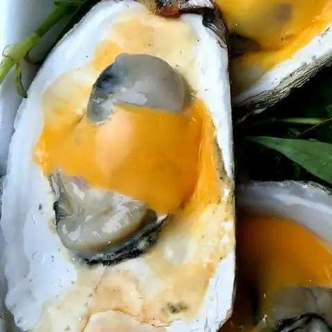 Hình ảnh Hàu Long Sơn phô mai