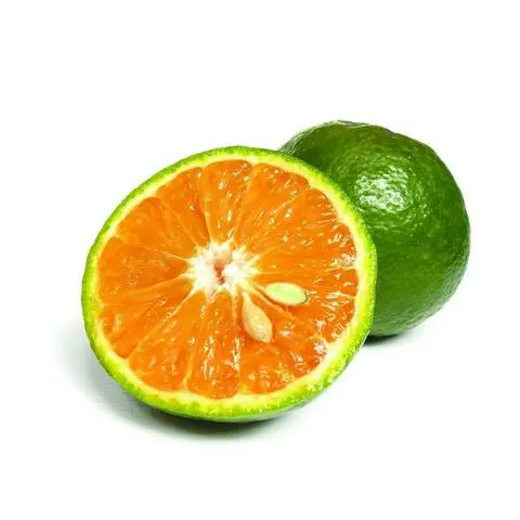 Hình ảnh Cam vắt 