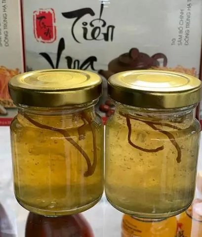 Hình ảnh Yến chưng tươi đông trùng hạ thảo hũ 75ml