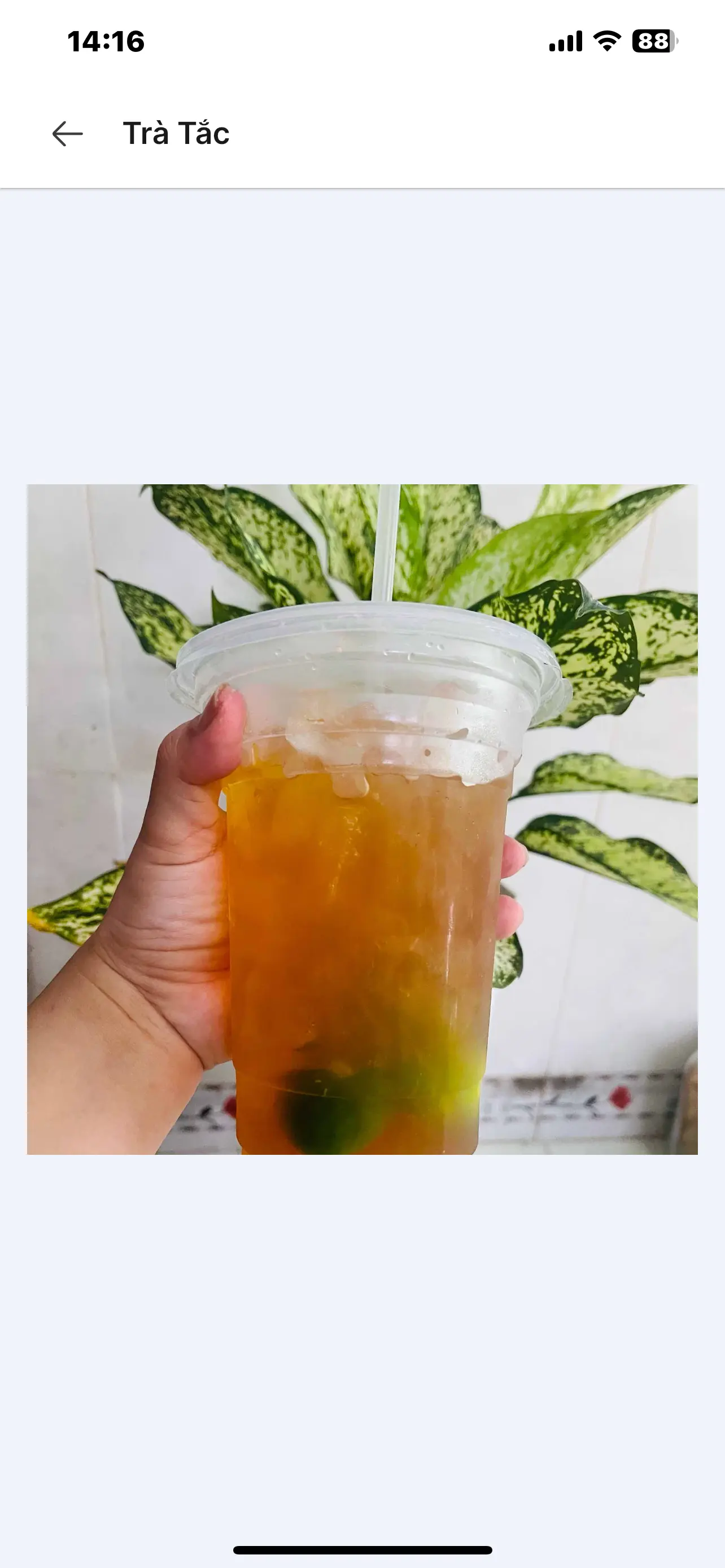 Hình ảnh trà tắc