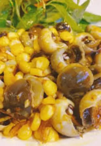 Hình ảnh ốc mở xào bơ bắp 