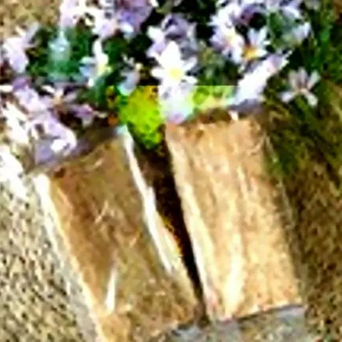 Hình ảnh Bánh Tráng Mắm Ruốc 1 gói