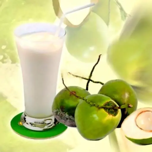 Hình ảnh Sinh tố dừa