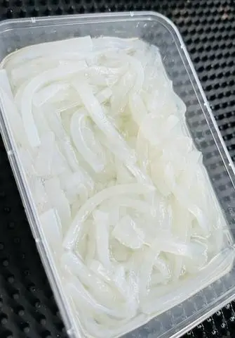Hình ảnh Dừa sợi 
