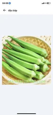 Hình ảnh đậu bắp 2 xiên