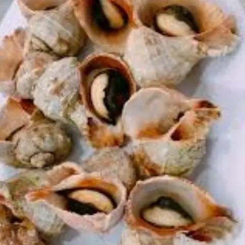 Hình ảnh ỐC GAI XÀO BƠ TỎI CAY