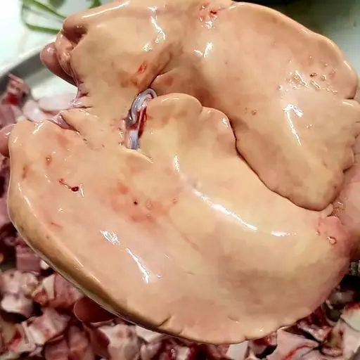 Hình ảnh Gan cá đuối 200g