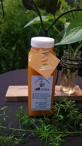 Hình ảnh Nước ép Táo - Thơm 330ml