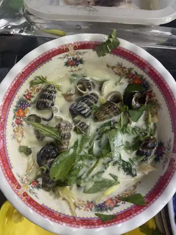 Hình ảnh lên dừa 