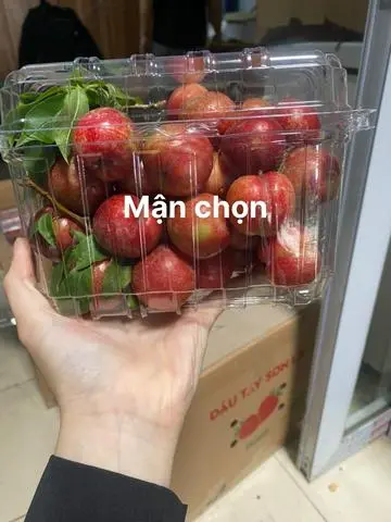 Hình ảnh Mận Hậu Mộc Châu Chọn