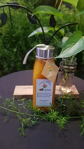 Hình ảnh Nước ép Táo - Thơm - Chanh dây 330ml (thủy tinh)
