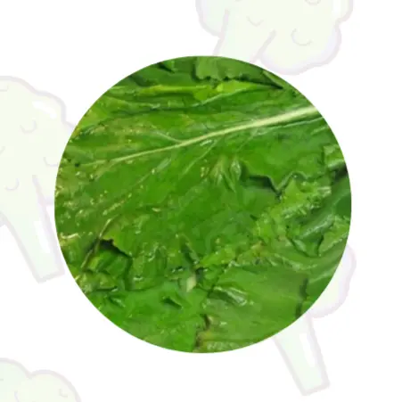 Hình ảnh Cải bẹ xanh