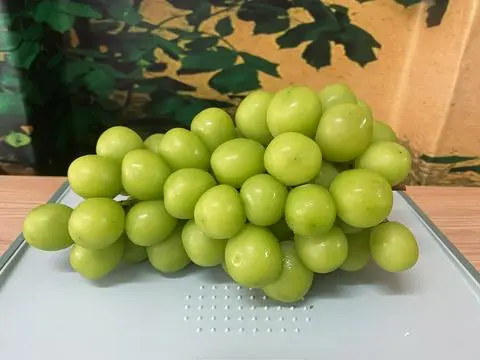 Hình ảnh Nho Mẫu Đơn - Hộp 500gr