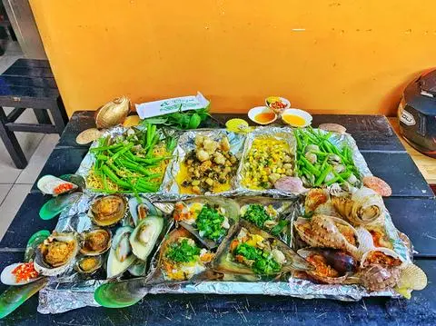 Hình ảnh sò lông