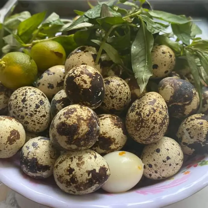 Hình ảnh Trứng Cút luộc -8 Trứng 