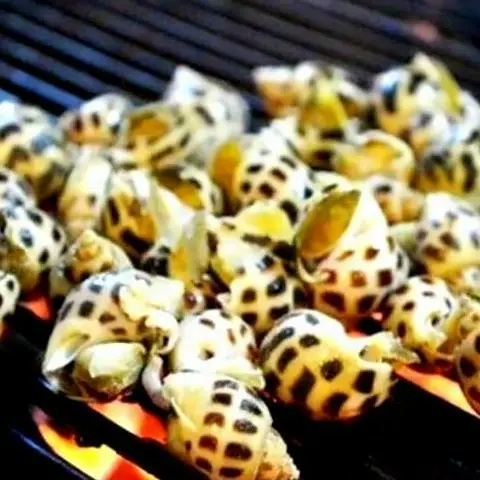 Hình ảnh Ốc Hương Nướng Mọi