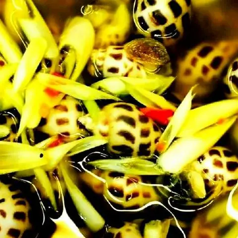 Hình ảnh Ốc Hương Hấp Sả