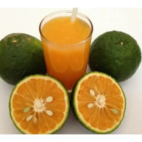 Hình ảnh Nước cam ép 
