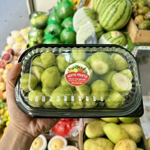 Hình ảnh Khay 500g cóc bao tử gọt sẵn kèm muối