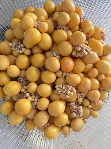 Hình ảnh Trứng Non 100g
