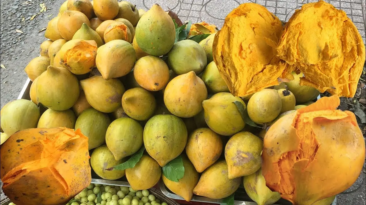 Hình ảnh lekima
