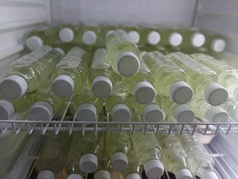Hình ảnh Nha đam hạt chia 