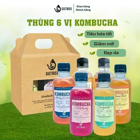 Hình ảnh (QUÀ TẶNG) Hộp 6 chai Kombucha Gutbox 