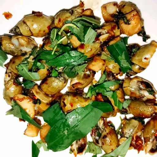 Hình ảnh Ốc cà na xào tỏi