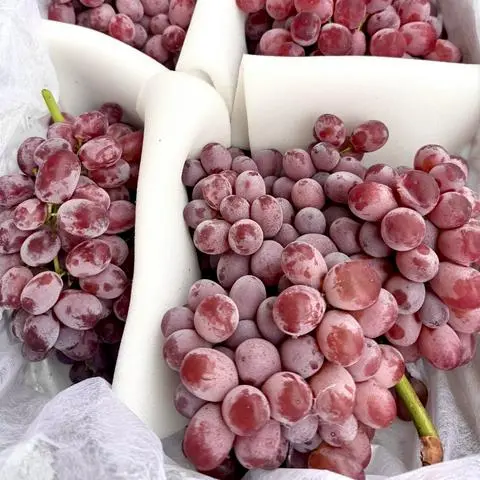 Hình ảnh Nho đỏ không hạt hộp 300G