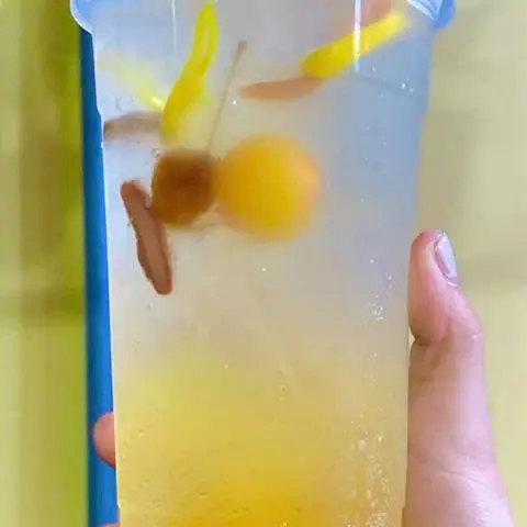 Hình ảnh SoDa Nhạt Nhòa Tình Cũ  ( topping ngũ vị )