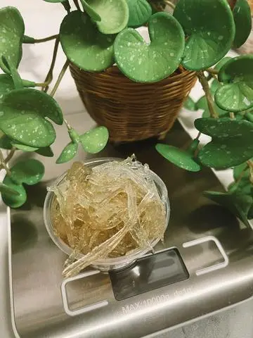 Hình ảnh Đông Sương