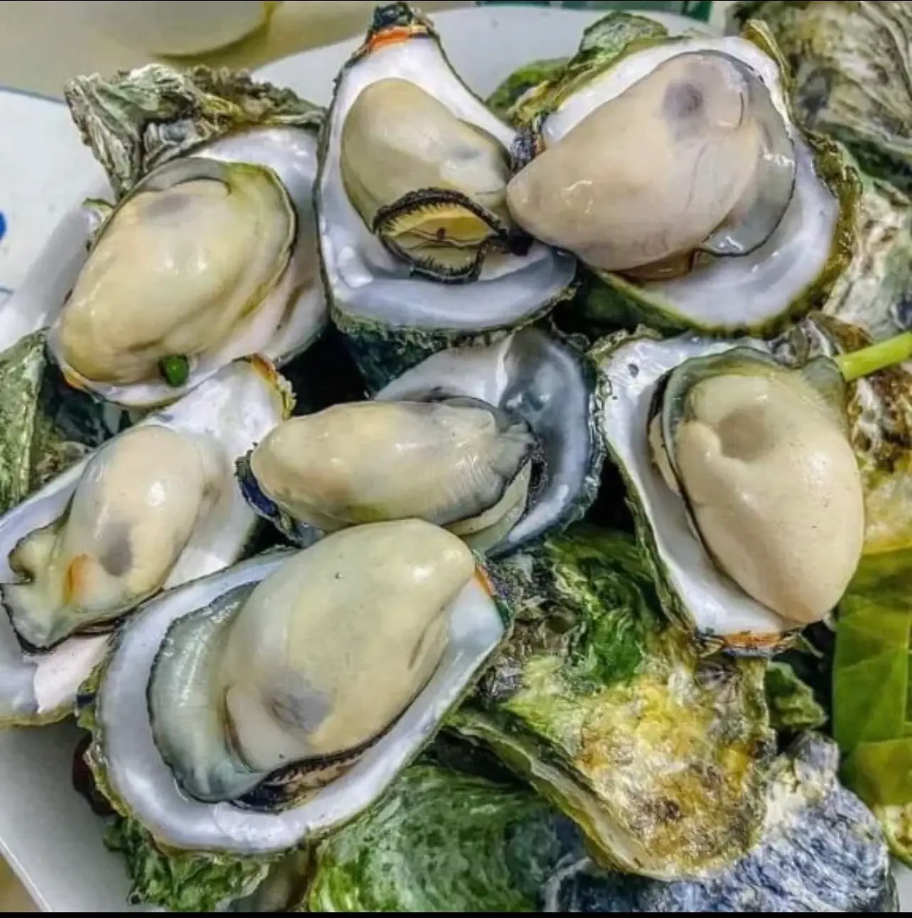 Hình ảnh Hàu hấp 1 kg