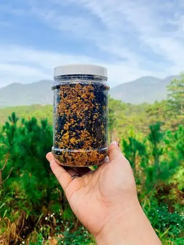 Hình ảnh Rong biển cháy tỏi