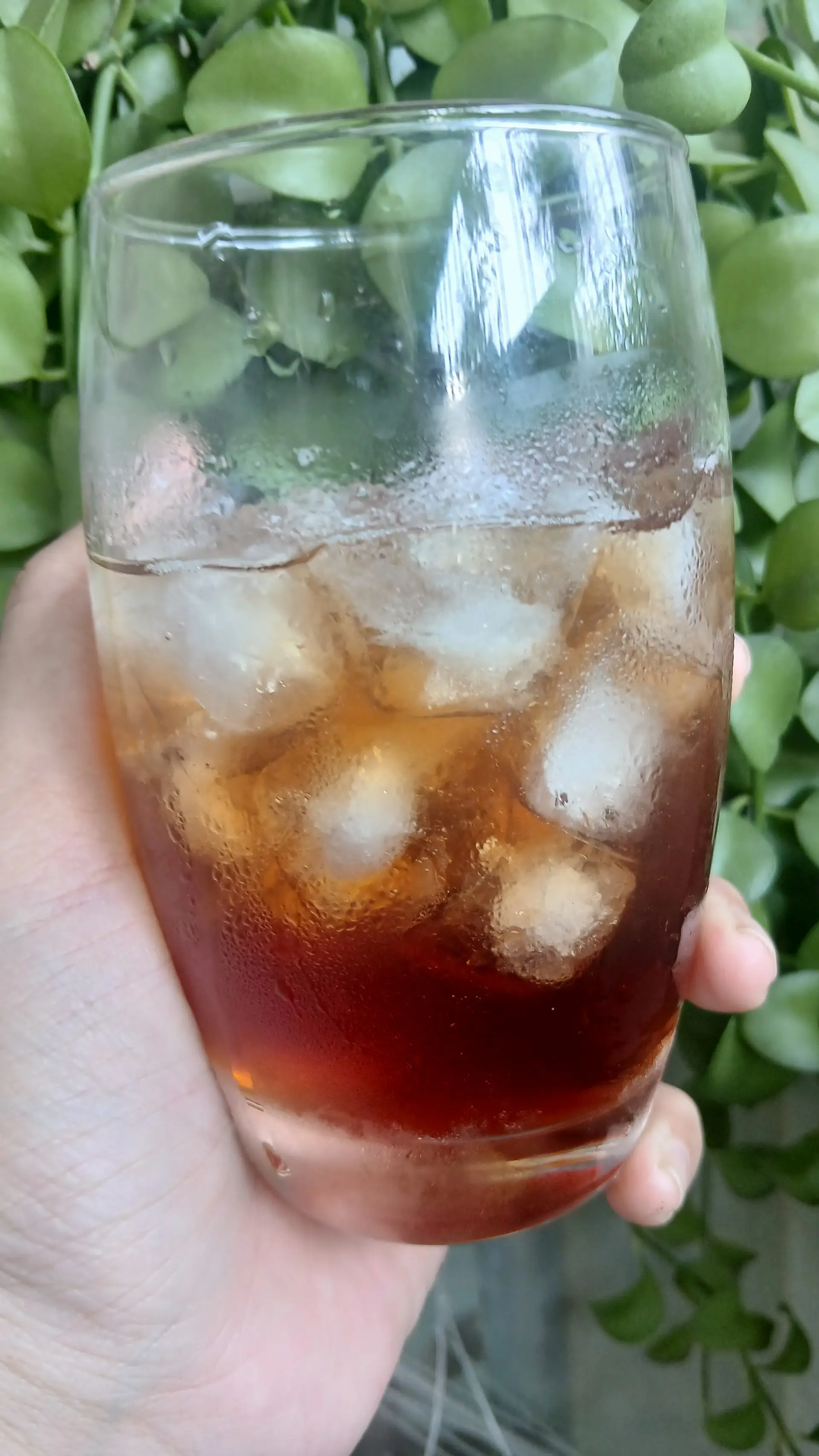 Hình ảnh Nước nho ủ lên men