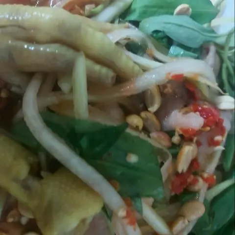 Hình ảnh Gỏi đu đủ chân gà còn xương