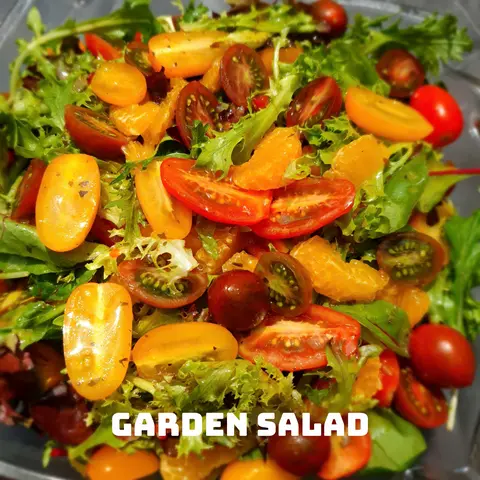 Hình ảnh Garden salad - Rau lá trong vườn