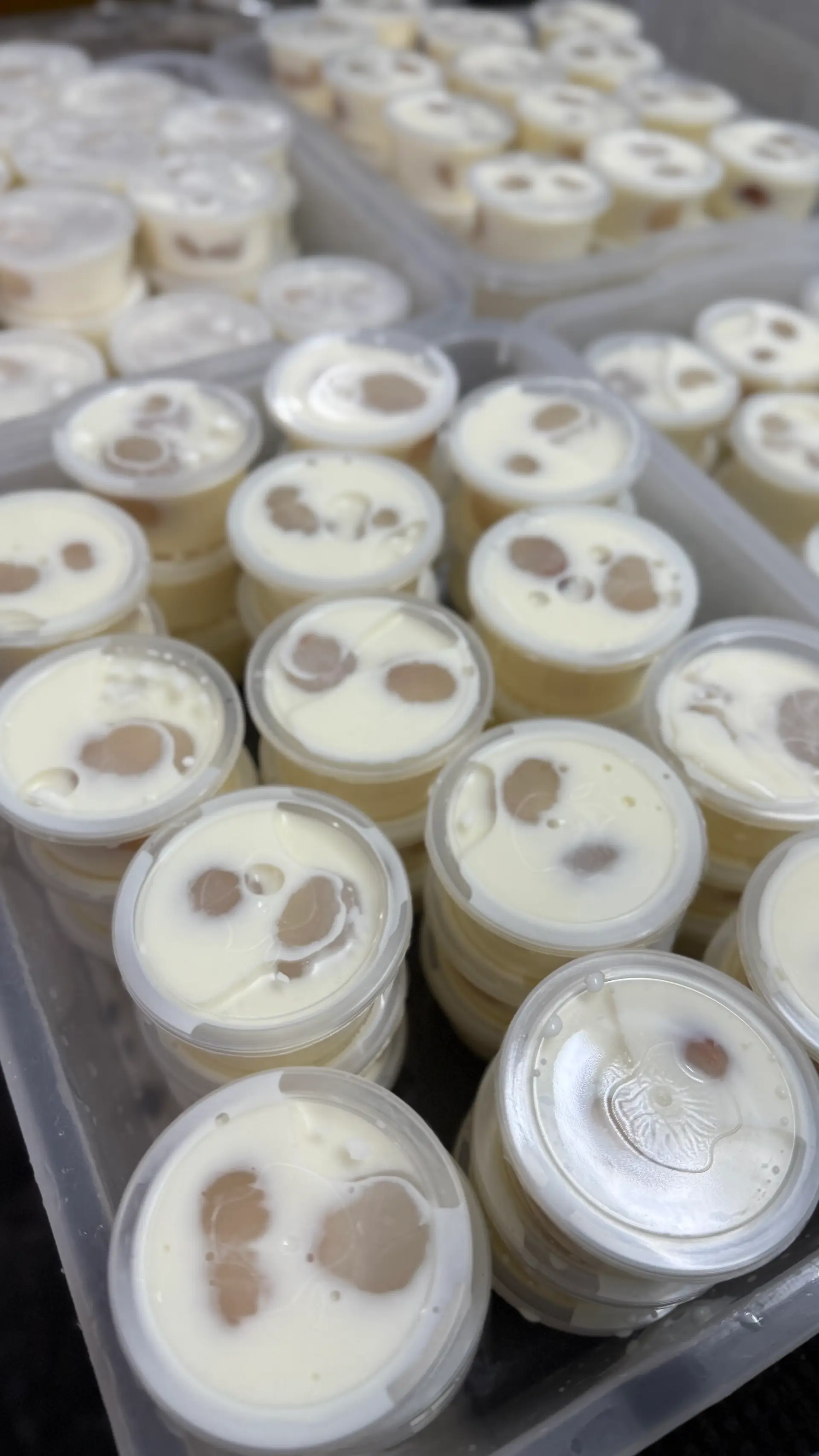 Hình ảnh Khúc Bạch Vải