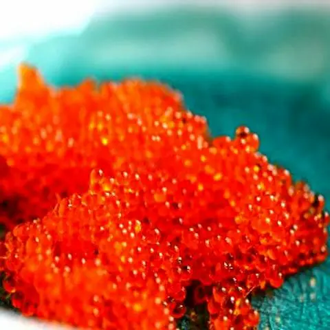 Hình ảnh Trứng cá chuồn